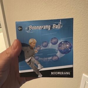Boomerang Ball Toy